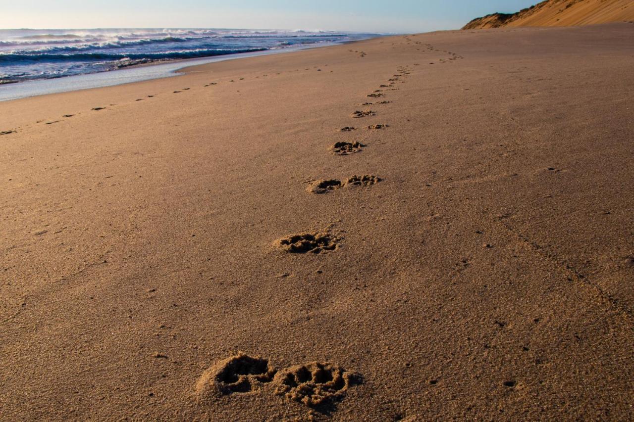 Endless Coast, A Boutique Hotel Wellfleet Buitenkant foto